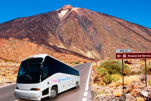 Teide National Park Tour
