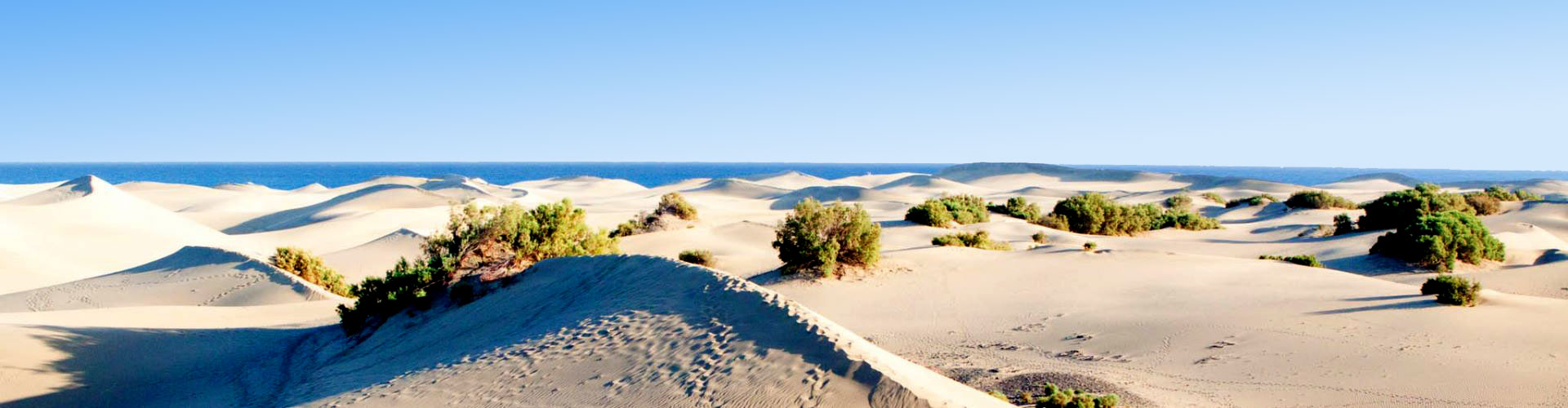 Things to do in Gran Canaria