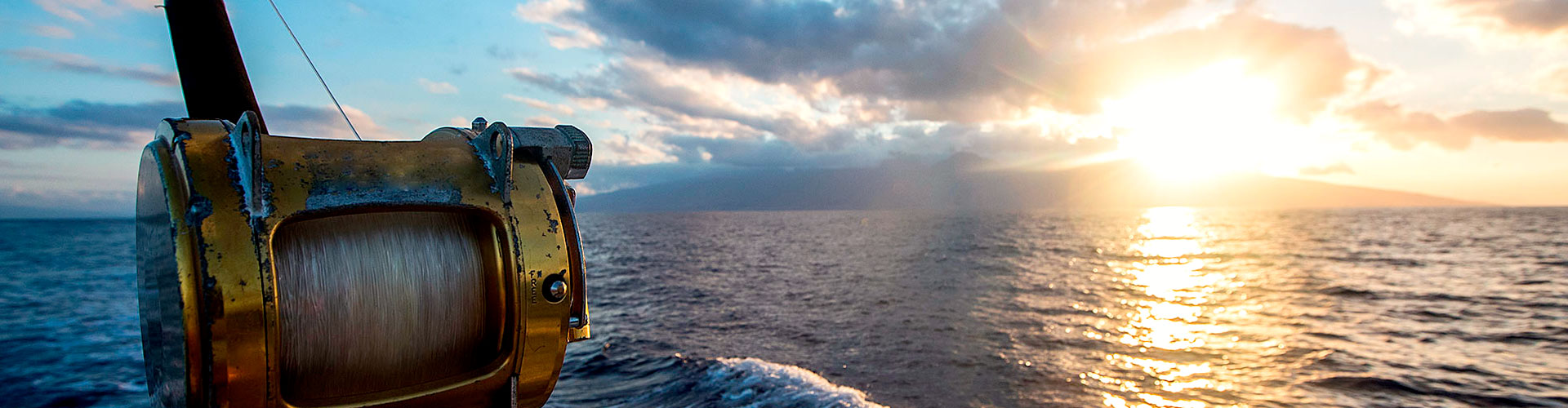 Sea Fishing in Gran Canaria