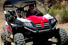 Couple in a Buggy