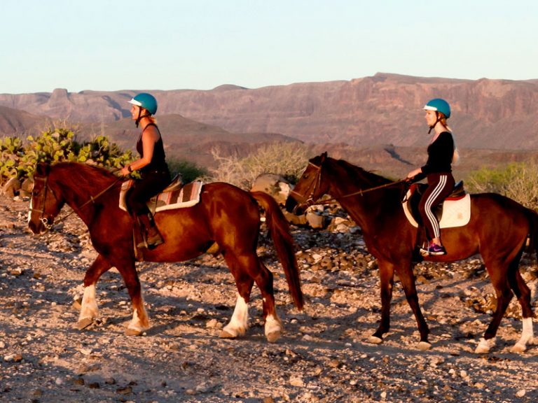 Horse Riding Tours in Gran Canaria Book with